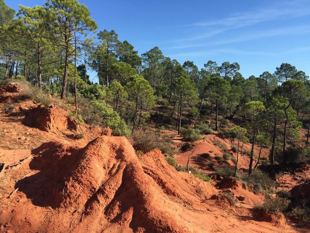 Le Chant Du Coeur Roussillon  Bagian luar foto
